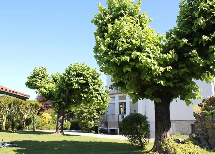 I Due Tigli Travedona